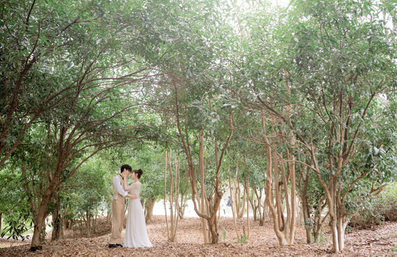 【お客様の声】takane weddingを利用した方の声
